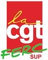 logo CGT FERC